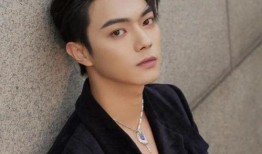 白鹿许凯最新爆料,揭秘幕后故事与情感纠葛